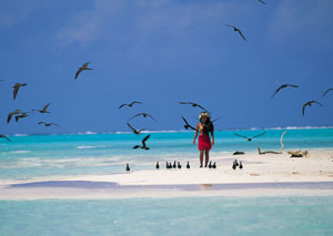 <PRE>Budget Vacation - TAHITI, HUAHINE, MOOREA - 14 nights - For those looking for an authentic experience</PRE>