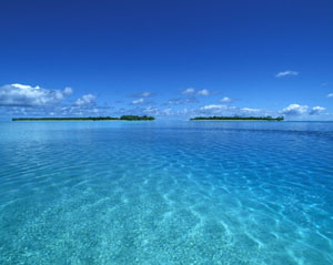 <PRE>HONEYMOON VACATION - TAHITI, BORA BORA, FAKARAVA - 10 nights</PRE>