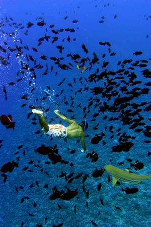 <PRE>Diving Vacation - Moorea, Rangiroa - 13 nights - Dep. from Sydney, Auckland</PRE>