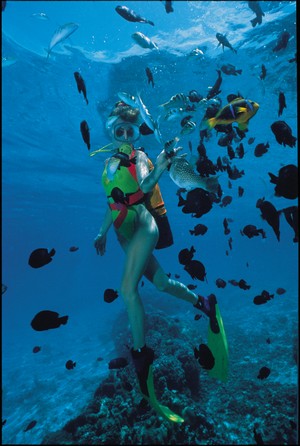 <PRE>Diving Vacation - Rangiroa, 8 days / 7 nights : 1 night on Tahiti and 6 nights on Rangiroa</PRE>